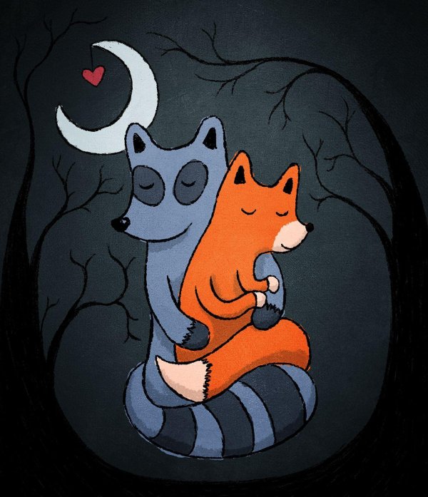 лисенок и енотик