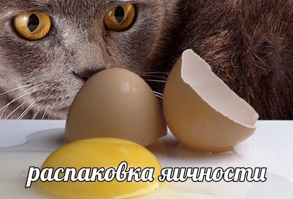 сырое яйцо