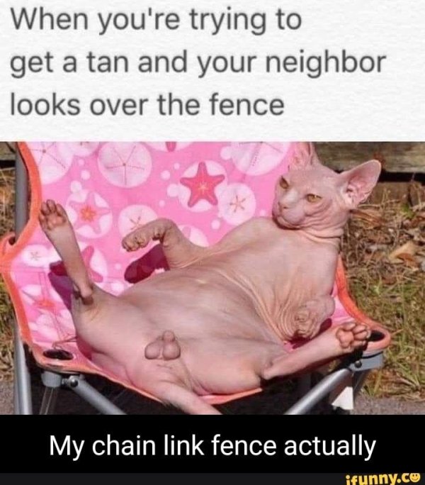 сфинкс смешной