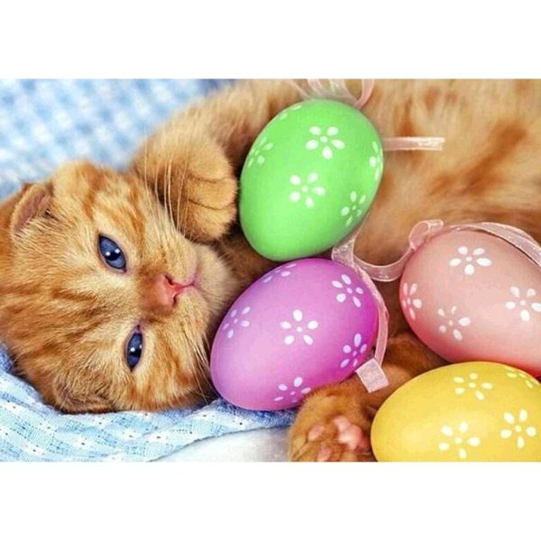 пасхальные котята