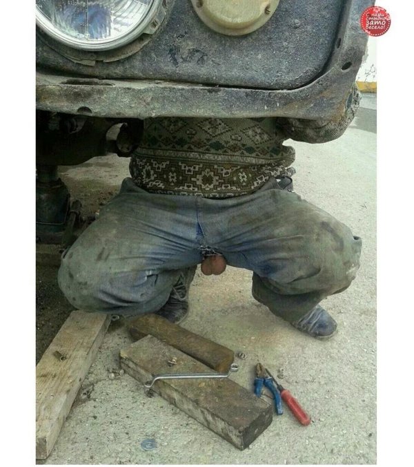 машина с яйцами