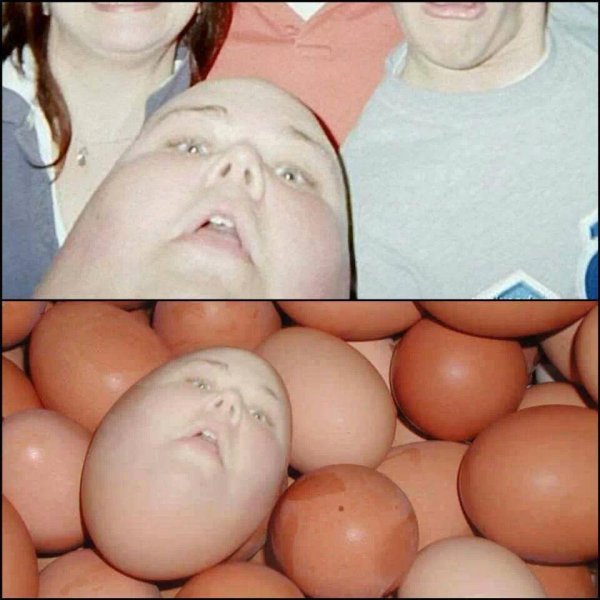 яйцо лысое