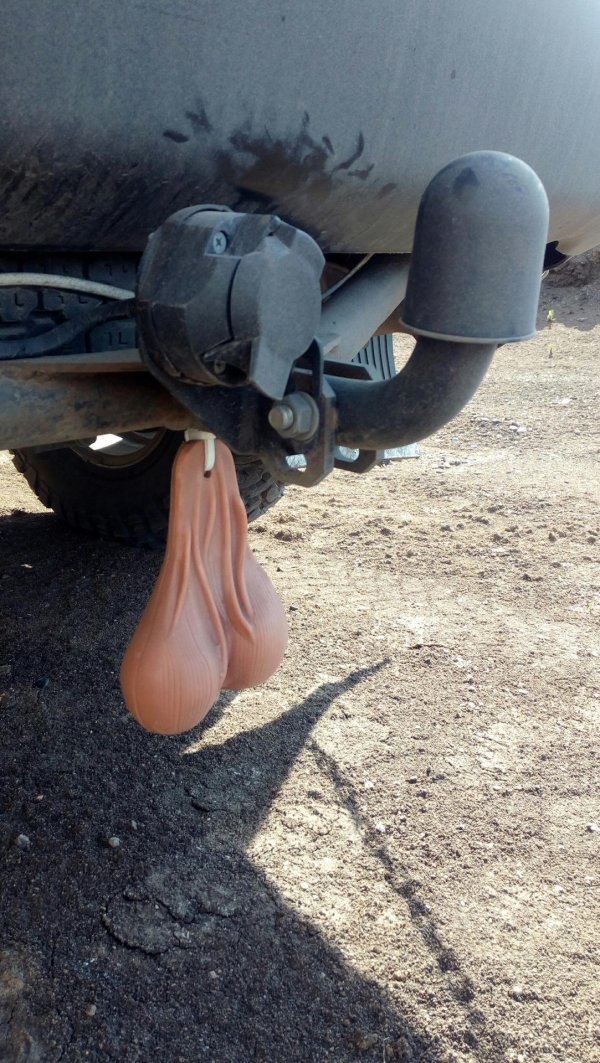 яйца сзади машины