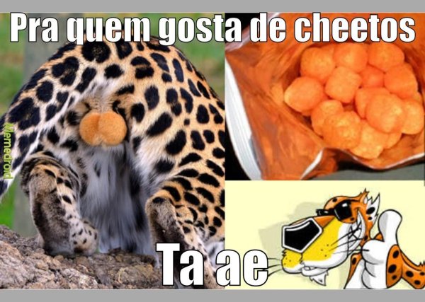 животное леопард