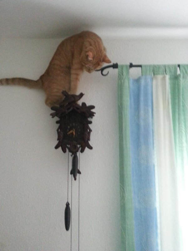 часы с кукушкой