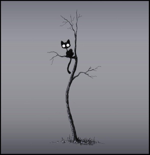 иллюстрация кошка