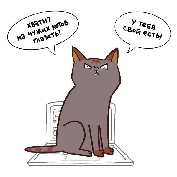 лакшери котакшери