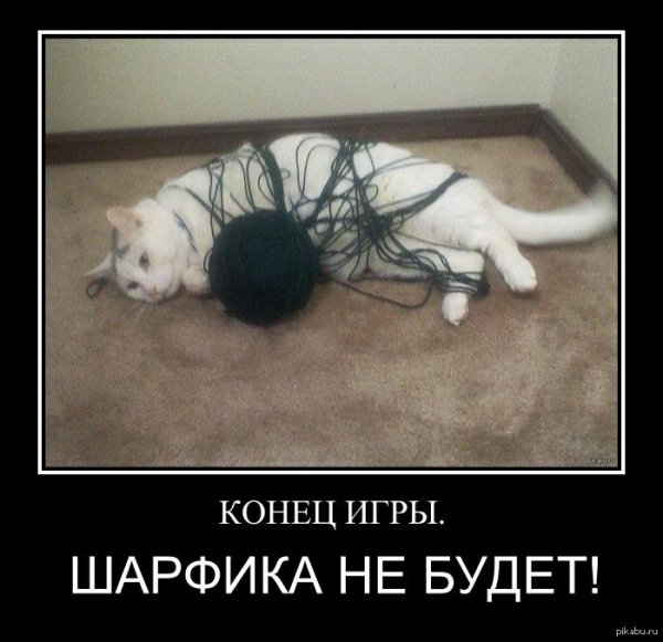 играл с клубком проиграл