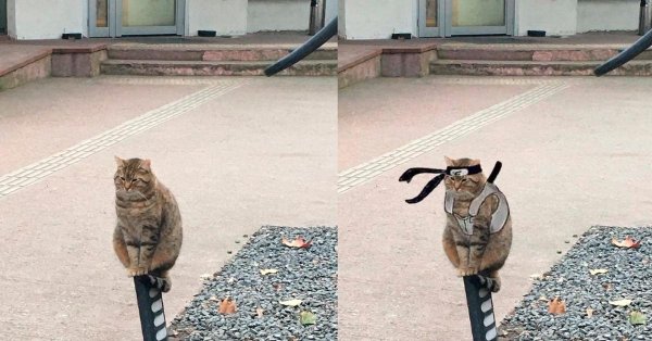 у самурая нет цели только путь