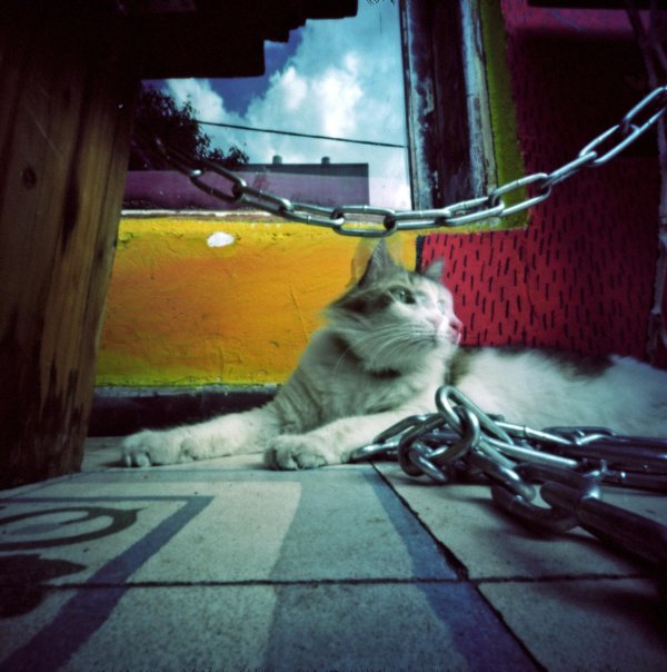 фотографы пинхолисты