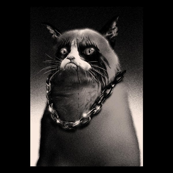 брутальные коты