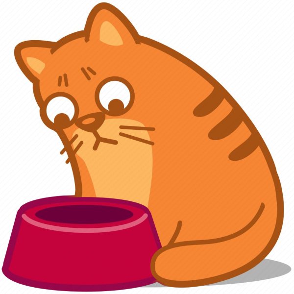 миска с кошечкой