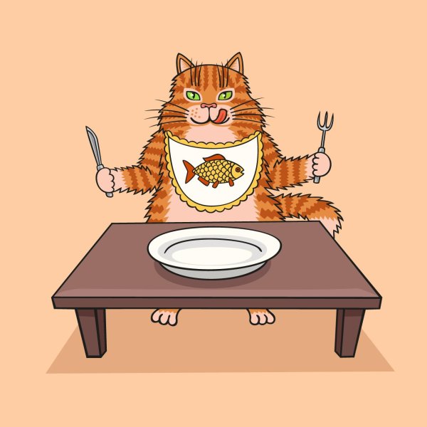 голодная кошка