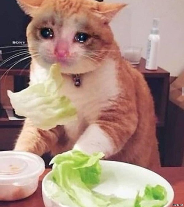 невкусна и грустна