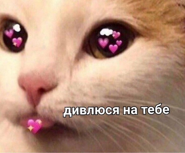 милые пикчи