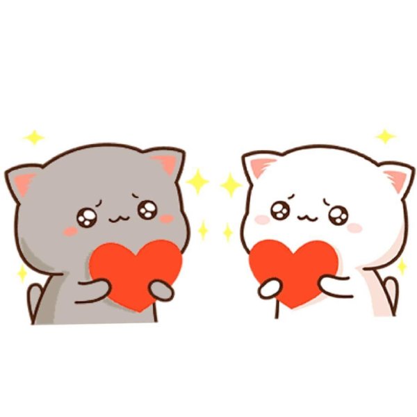 кавайные котики