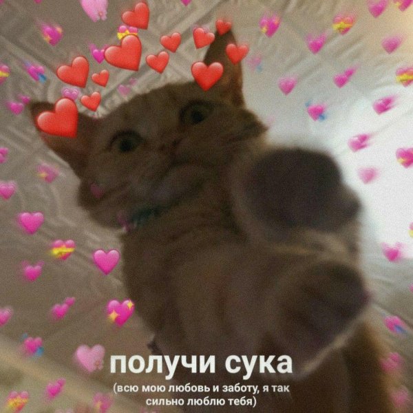 милые пикчи