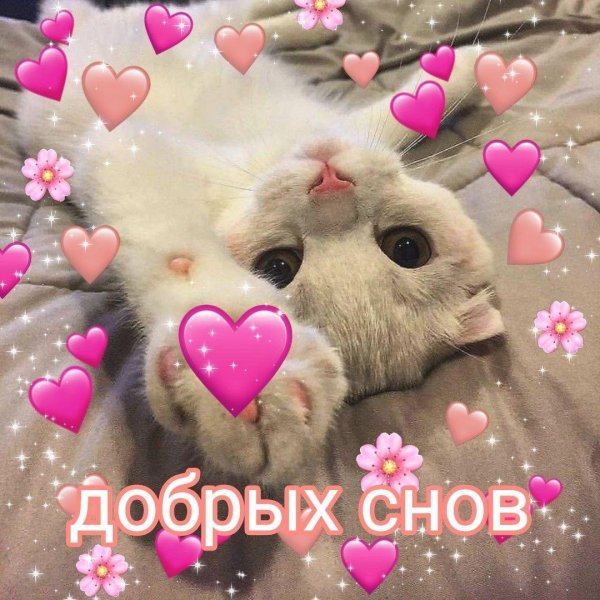 милые пикчи спокойной ночи