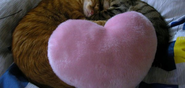 подушка в форме сердца