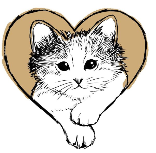 котик с сердечком рисунок карандашом