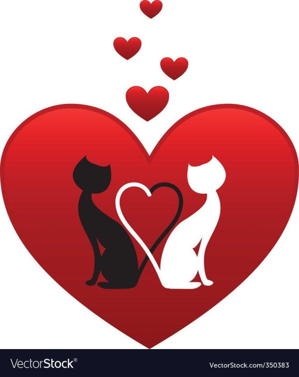 влюбленные коты