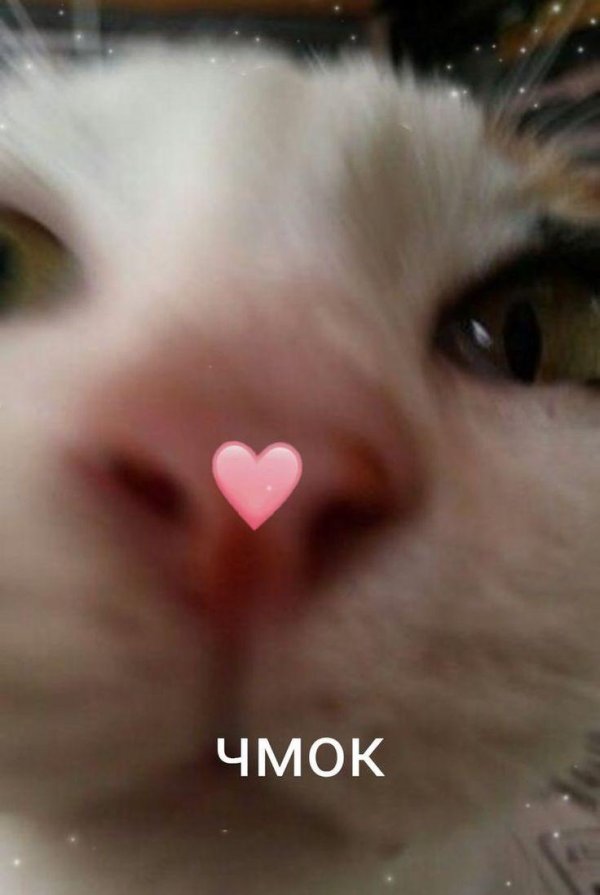 пикчи для любви