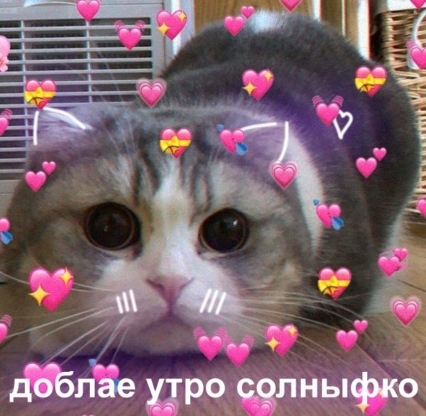 милые пикчи доброе утро