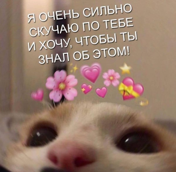 милые пикчи