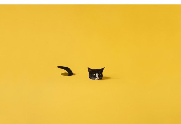 котики минимализм