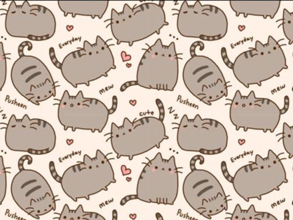 pusheen фон