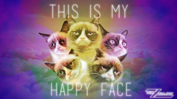 grumpy cat