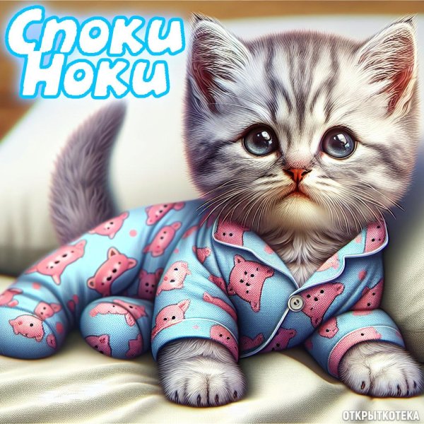 Споки ноки с котами