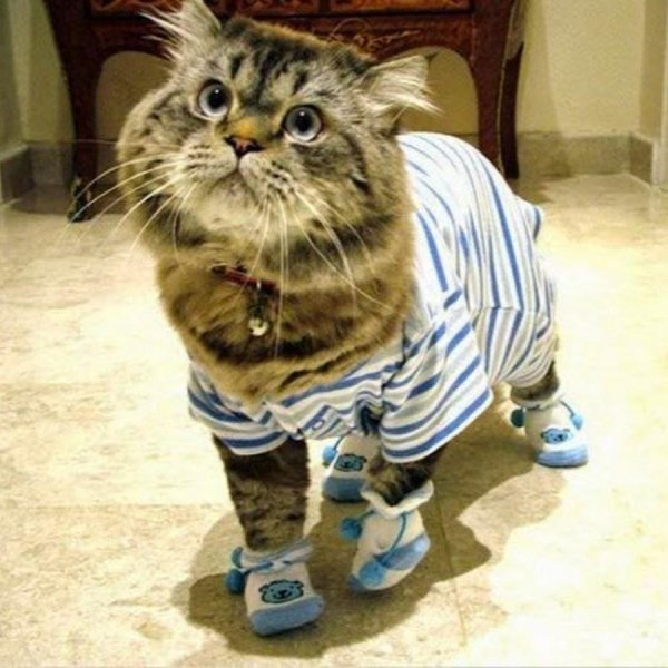 демотиваторы смешные свежие