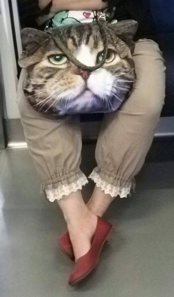 прикол смешной