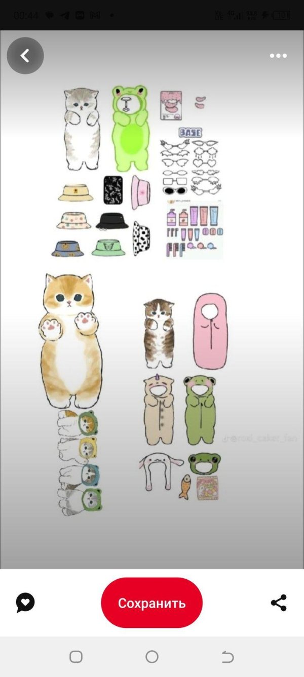 распечатка котика с одеждой