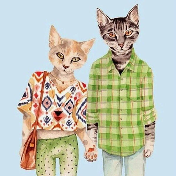 кошка в одежде