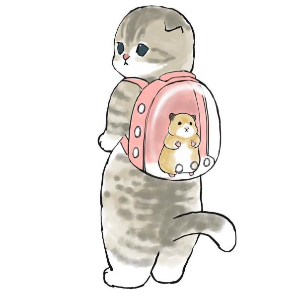 милые котики рисунки пинтерест