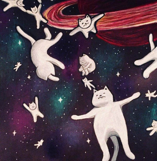 космические коты