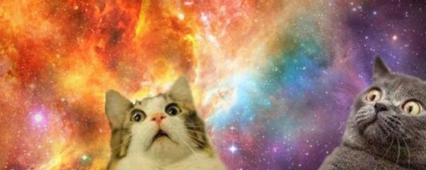 котики космос