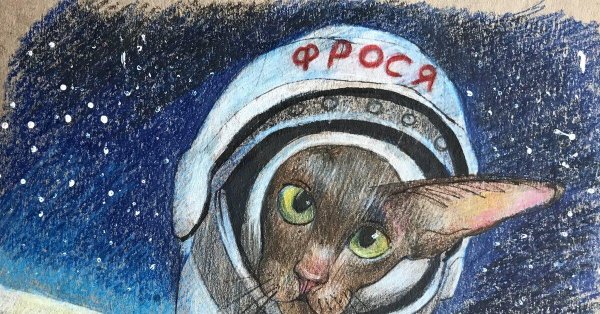 космические коты