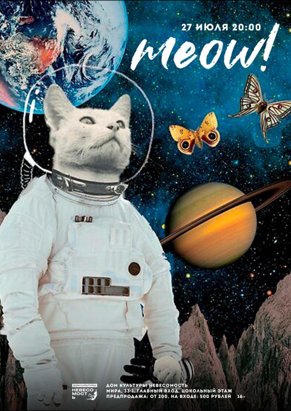 astronaut cat