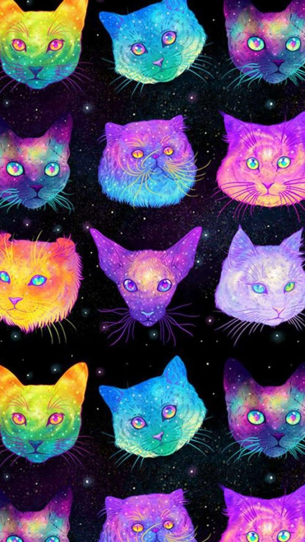 космо котики