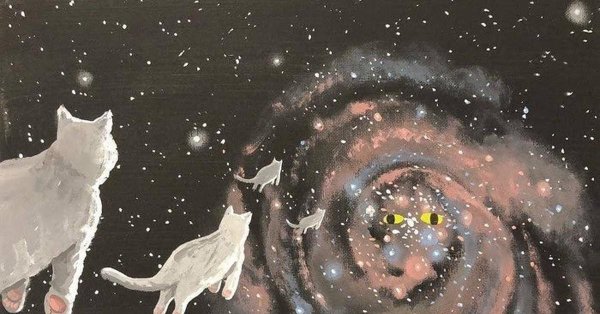 космическая кошка