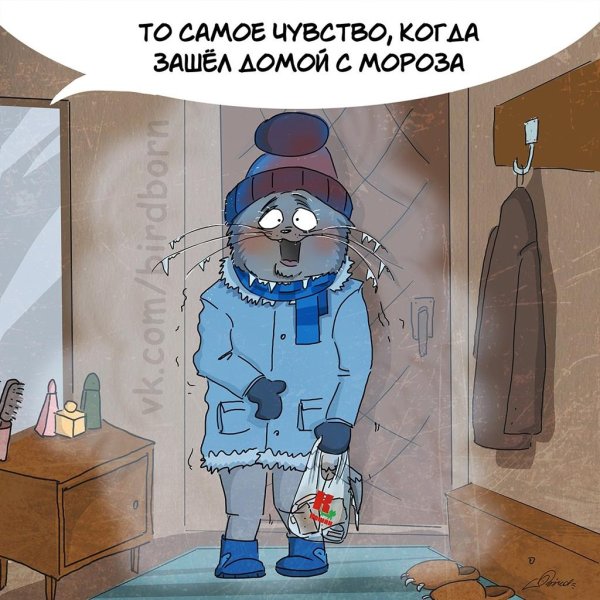 смешные зимние открытки