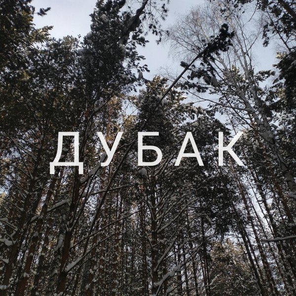 сосновые леса