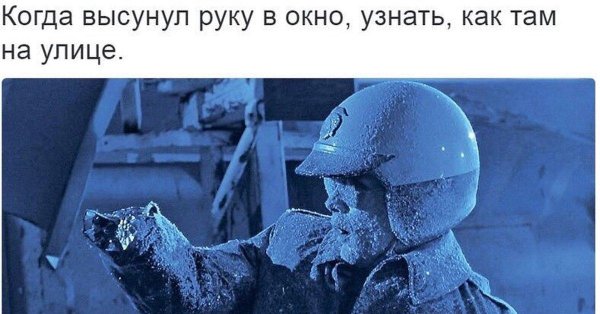 жидкий терминатор