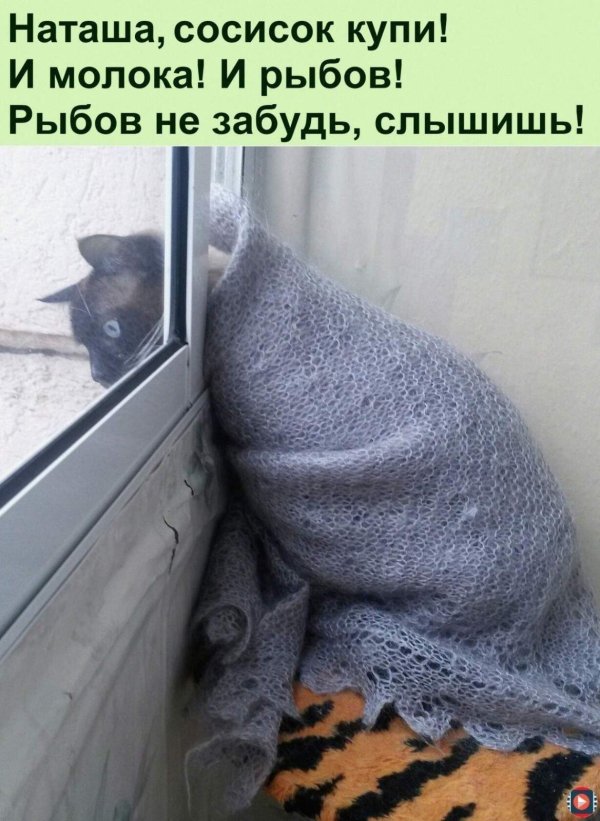 не мерзни
