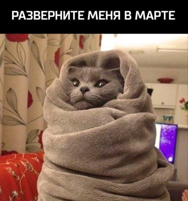 укутаться в плед
