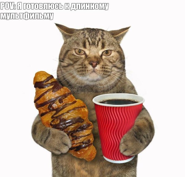 кот круассан