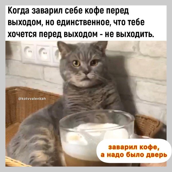 перед выходом